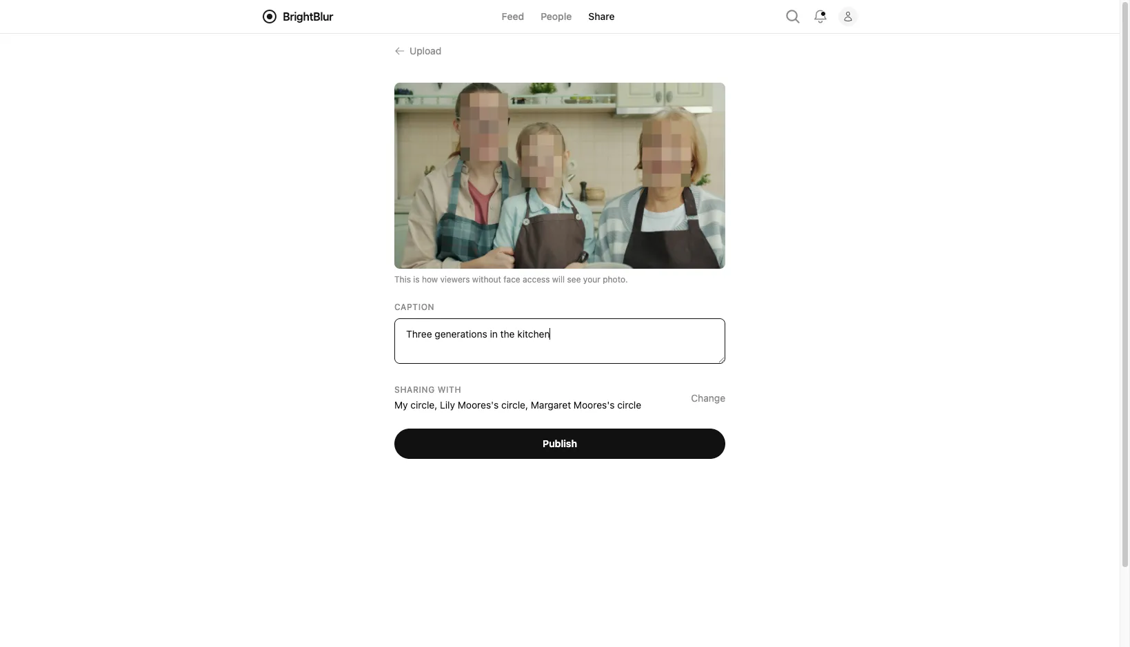 The publish screen showing the pixelated preview and a caption